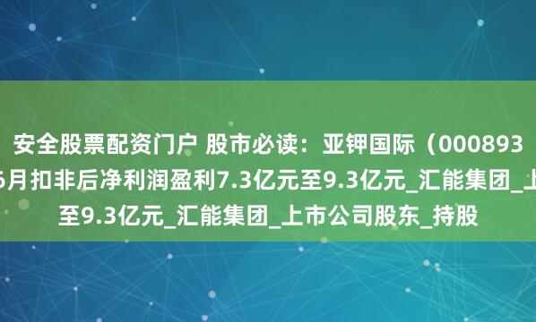 安全股票配资门户 股市必读：亚钾国际（000893）预计2025年1-6月扣非后净利润盈利7.3亿元至9.3亿元_汇能集团_上市公司股东_持股