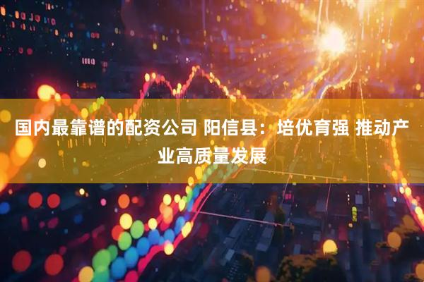 国内最靠谱的配资公司 阳信县：培优育强 推动产业高质量发展